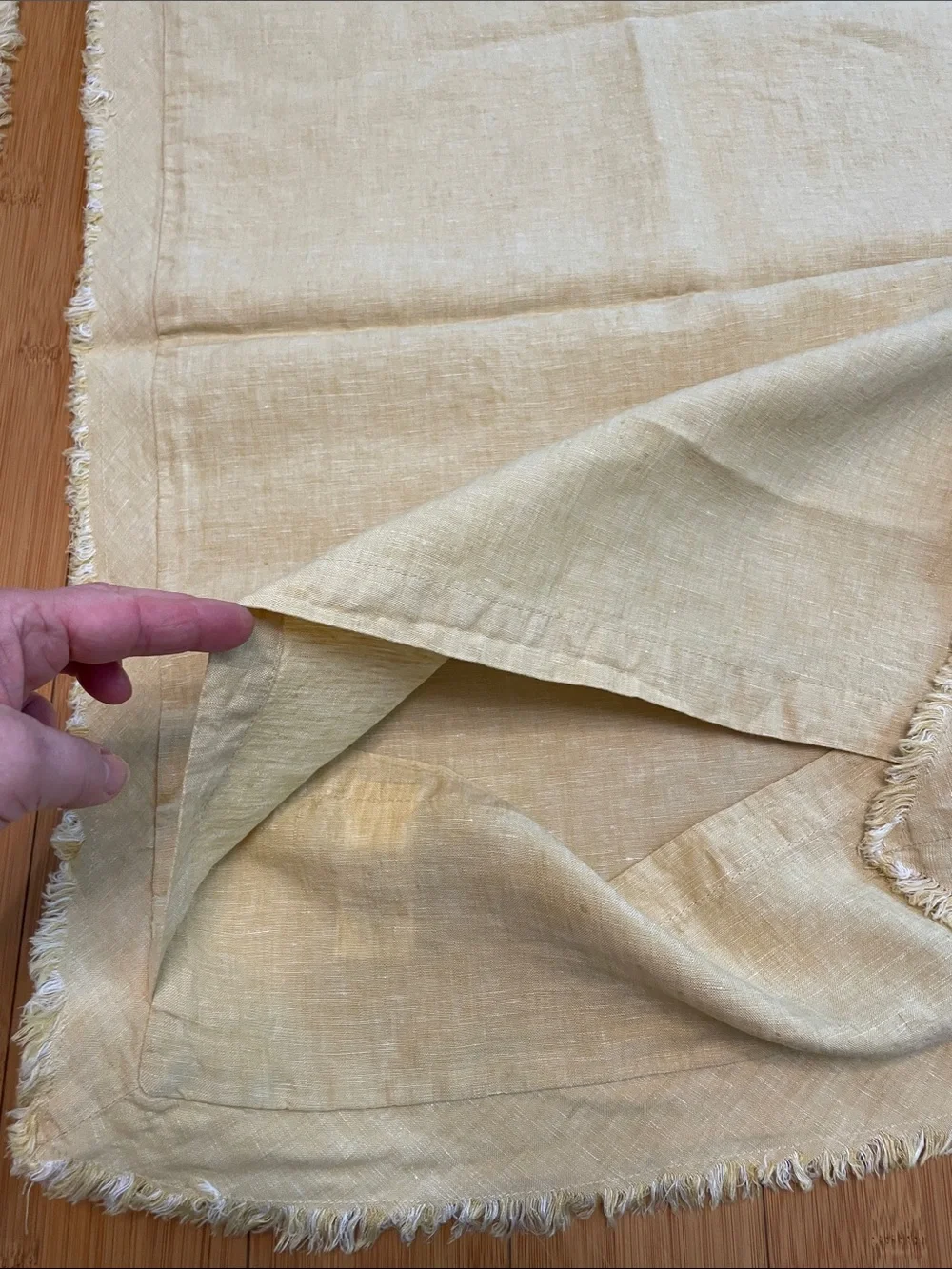 Pottery Barn Linen Standard Sham 20” x 26” Set of Two Fringe Edges